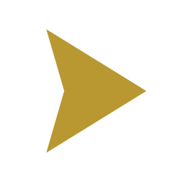 Bullet Icon